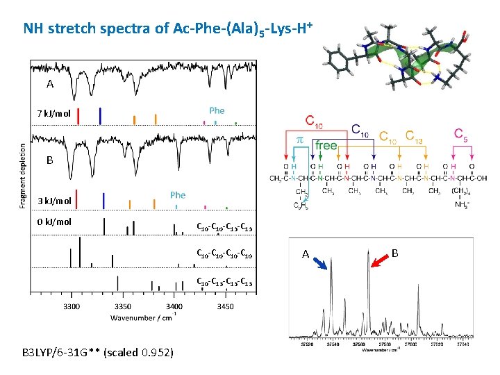 NH stretch spectra of Ac-Phe-(Ala)5 -Lys-H+ A 7 k. J/mol B 3 k. J/mol