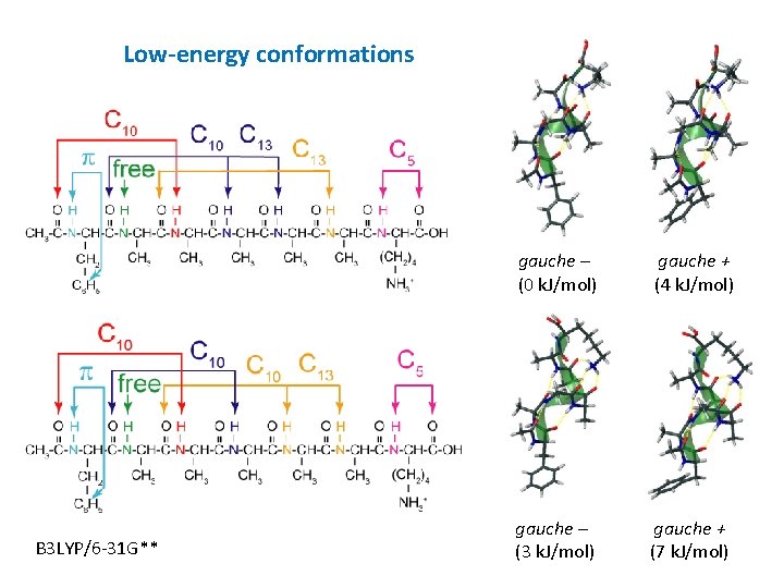 Low-energy conformations B 3 LYP/6 -31 G** gauche – (0 k. J/mol) gauche +