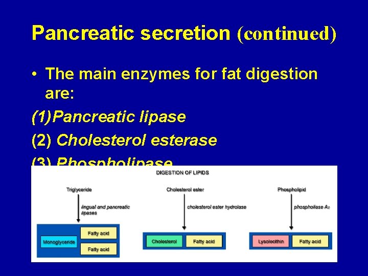 Pancreatic secretion (continued) • The main enzymes for fat digestion are: (1)Pancreatic lipase (2)