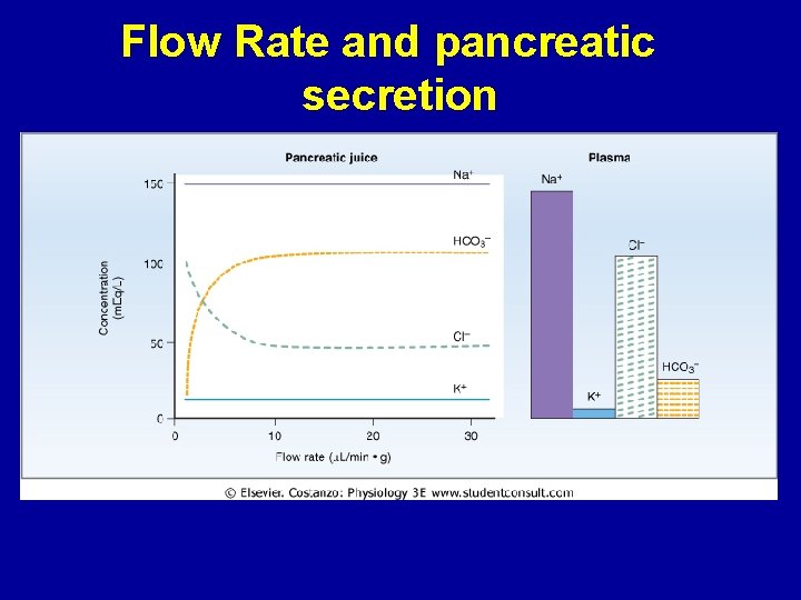 Flow Rate and pancreatic secretion 