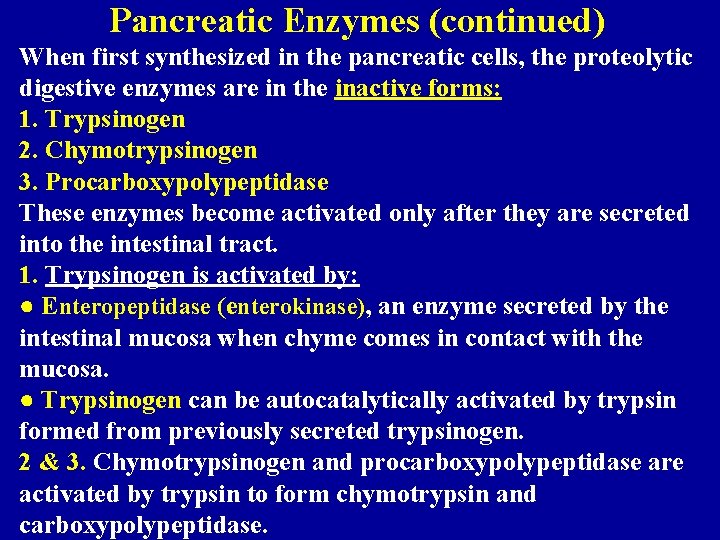 Pancreatic Enzymes (continued) When first synthesized in the pancreatic cells, the proteolytic digestive enzymes