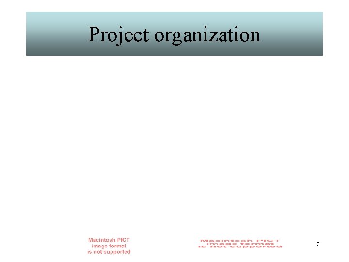 Project organization 7 