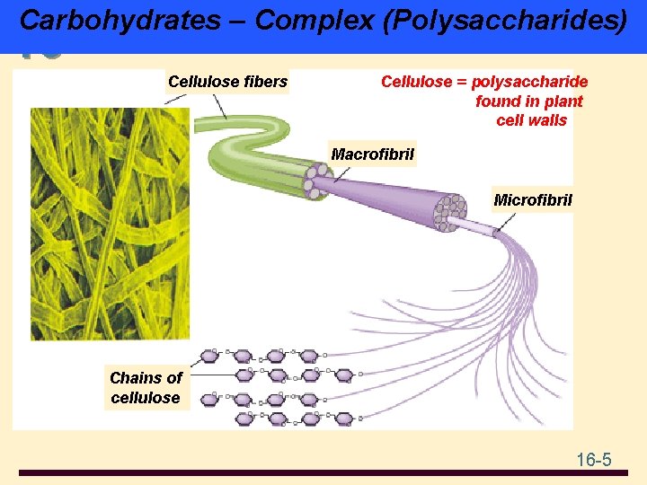 Carbohydrates – Complex (Polysaccharides) 16 Cellulose fibers Cellulose = polysaccharide found in plant cell