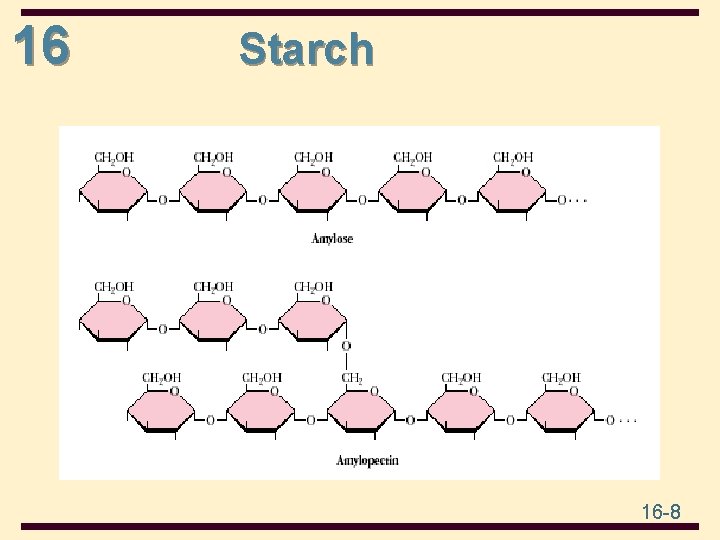 16 Starch 16 -8 16 Starch 16 -8