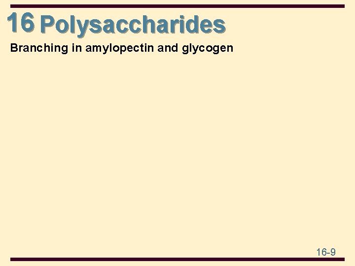 16 Polysaccharides Branching in amylopectin and glycogen 16 -9 