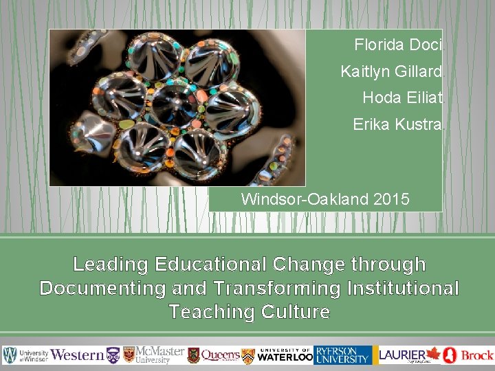  Florida Doci. Kaitlyn Gillard. Hoda Eiliat. Erika Kustra. Windsor-Oakland 2015 Leading Educational Change