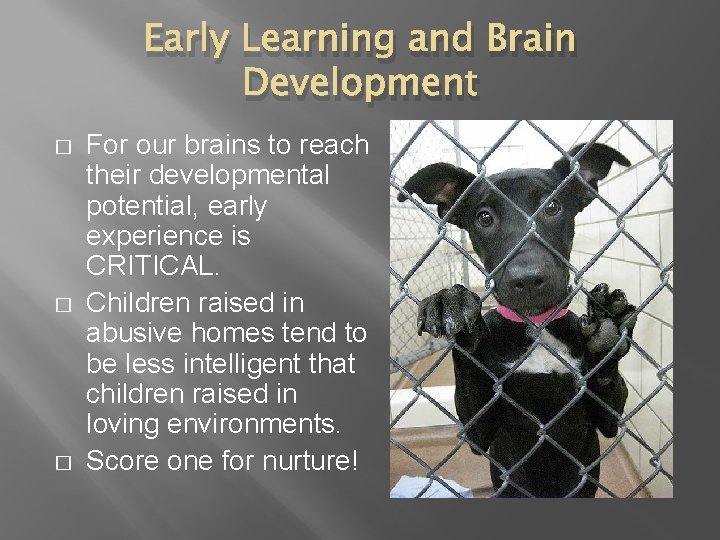 Early Learning and Brain Development � � � For our brains to reach their