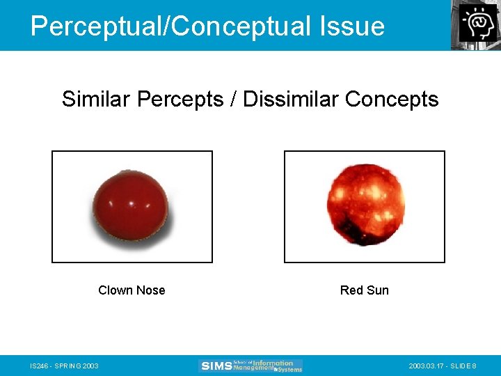 Perceptual/Conceptual Issue Similar Percepts / Dissimilar Concepts Clown Nose IS 246 - SPRING 2003