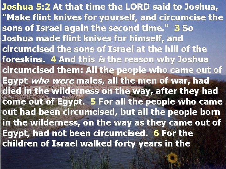 Joshua 5: 2 At that time the LORD said to Joshua, "Make flint knives