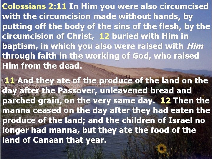 Colossians 2: 11 In Him you were also circumcised with the circumcision made without