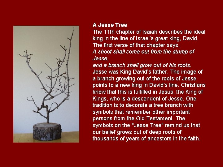 A Jesse Tree The 11 th chapter of Isaiah describes the ideal king in