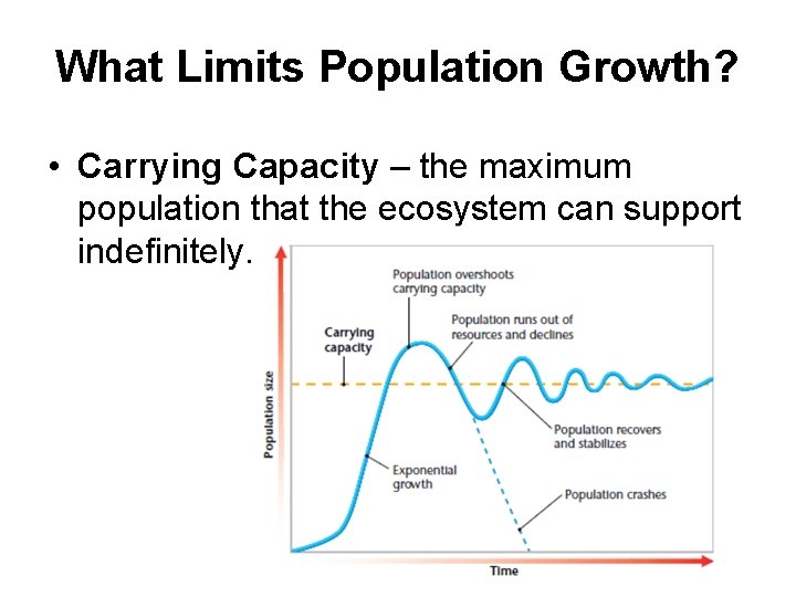 What Limits Population Growth? • Carrying Capacity – the maximum population that the ecosystem