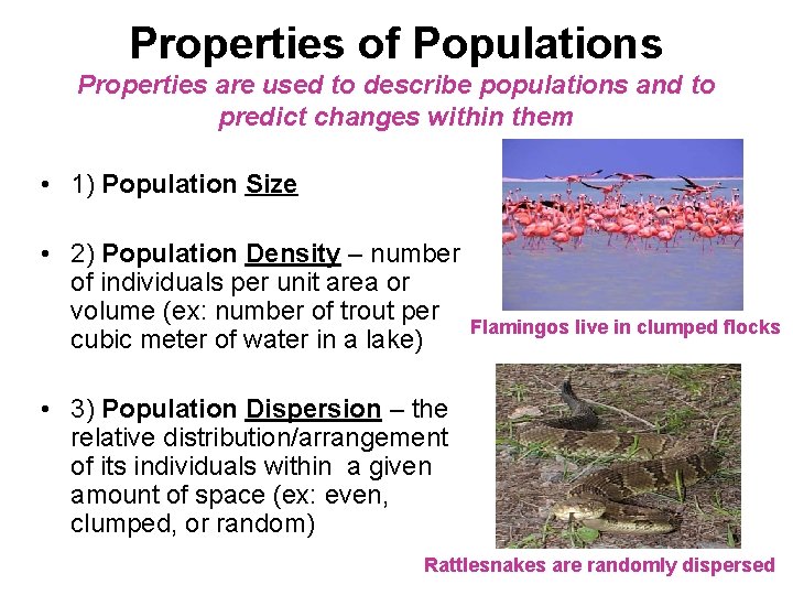 Properties of Populations Properties are used to describe populations and to predict changes within