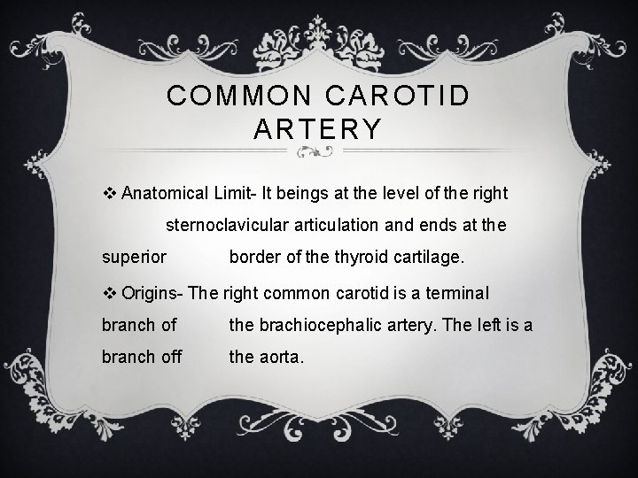 COMMON CAROTID ARTERY v Anatomical Limit- It beings at the level of the right