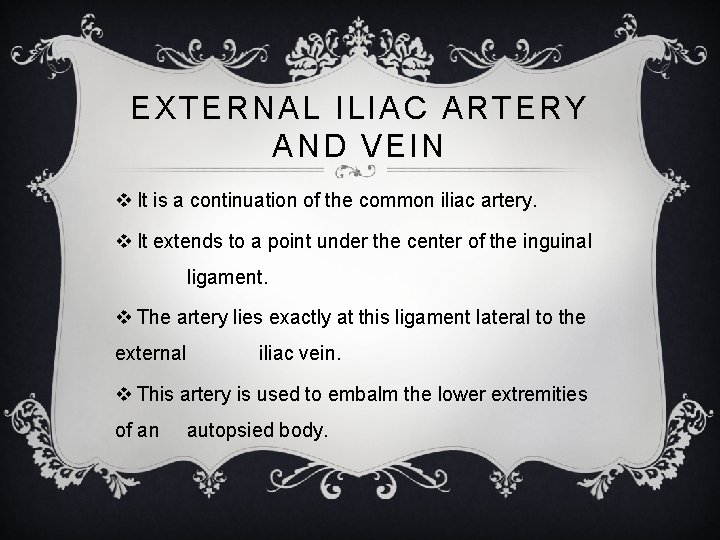 EXTERNAL ILIAC ARTERY AND VEIN v It is a continuation of the common iliac