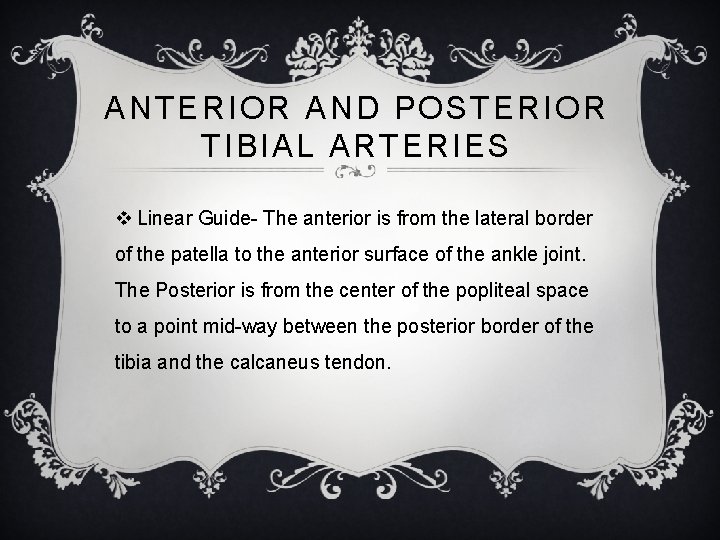 ANTERIOR AND POSTERIOR TIBIAL ARTERIES v Linear Guide- The anterior is from the lateral