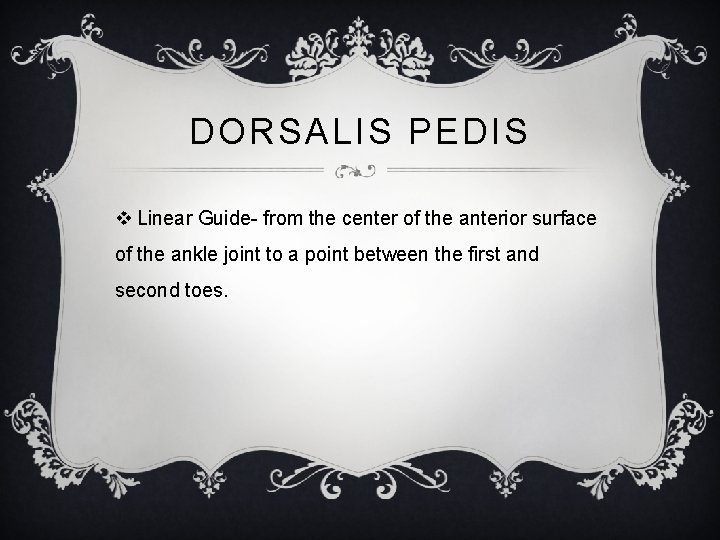 DORSALIS PEDIS v Linear Guide- from the center of the anterior surface of the