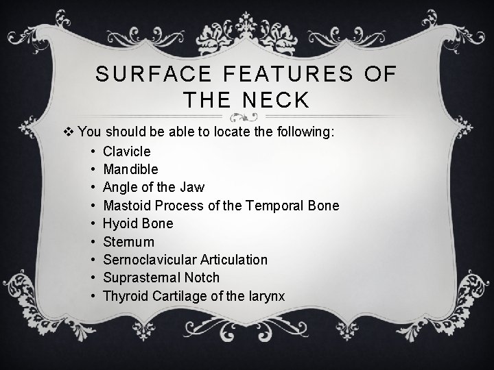 SURFACE FEATURES OF THE NECK v You should be able to locate the following: