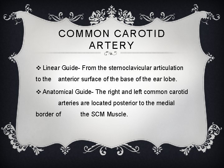 COMMON CAROTID ARTERY v Linear Guide- From the sternoclavicular articulation to the anterior surface
