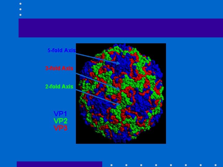 5 -fold Axis 3 -fold Axis 2 -fold Axis VP 1 VP 2 VP