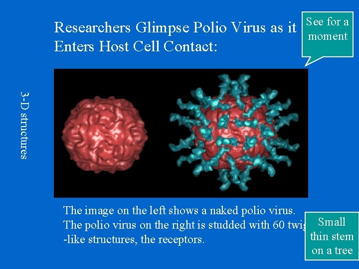 Researchers Glimpse Polio Virus as it Enters Host Cell Contact: See for a moment