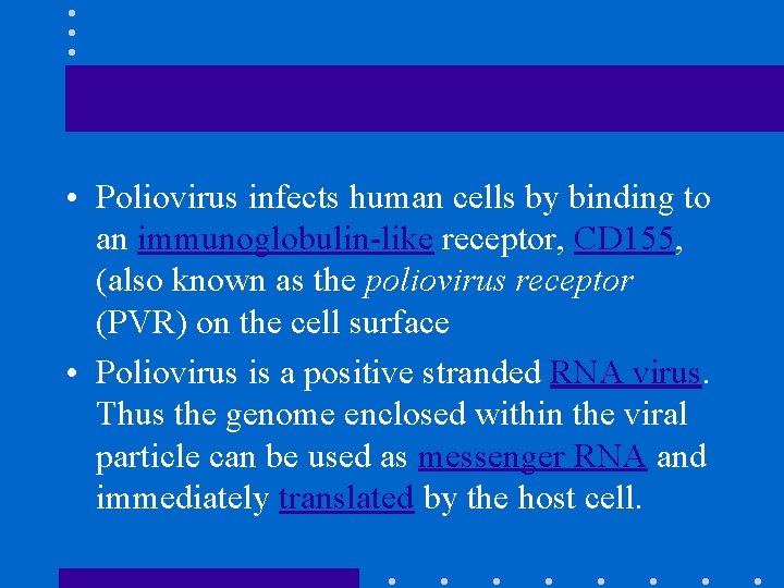  • Poliovirus infects human cells by binding to an immunoglobulin-like receptor, CD 155,