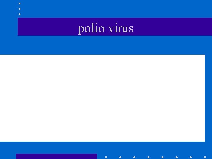 polio virus 