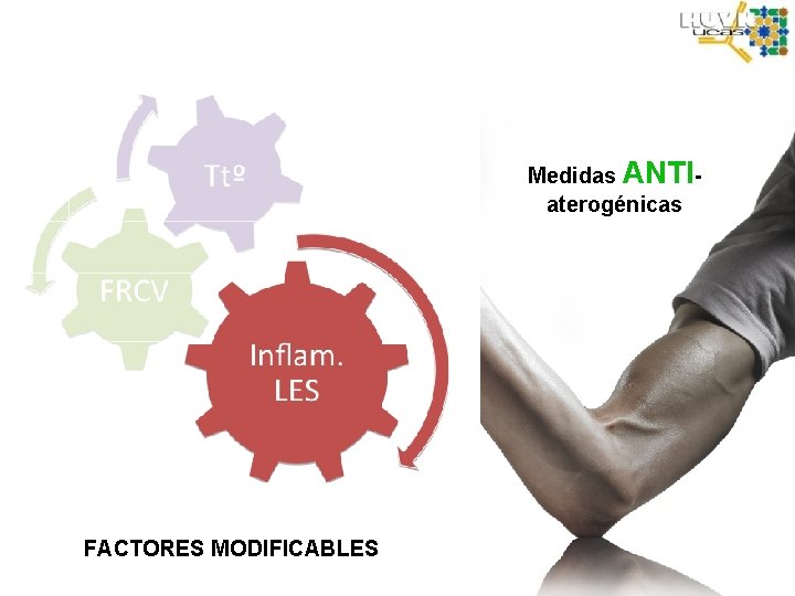 Ttº FRCV FACTORES MODIFICABLES Medidas ANTIaterogénicas 