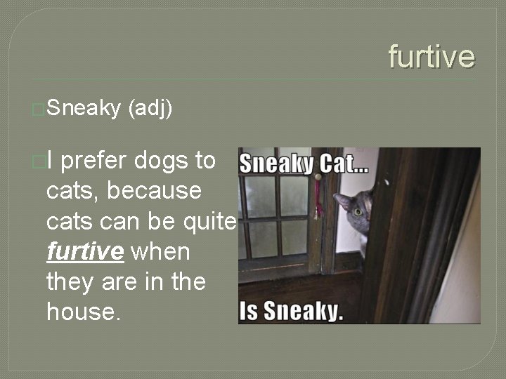 furtive �Sneaky �I (adj) prefer dogs to cats, because cats can be quite furtive