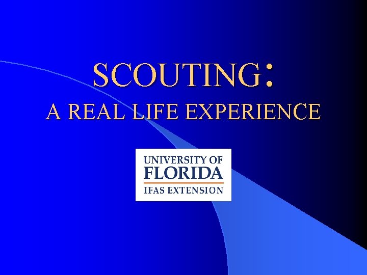 SCOUTING: A REAL LIFE EXPERIENCE 