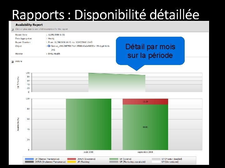 Rapports : Disponibilité détaillée Détail par mois sur la période 