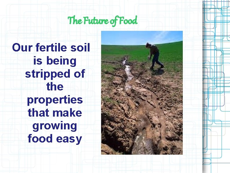 The Future of Food Our fertile soil is being stripped of the properties that The Future of Food Our fertile soil is being stripped of the properties that