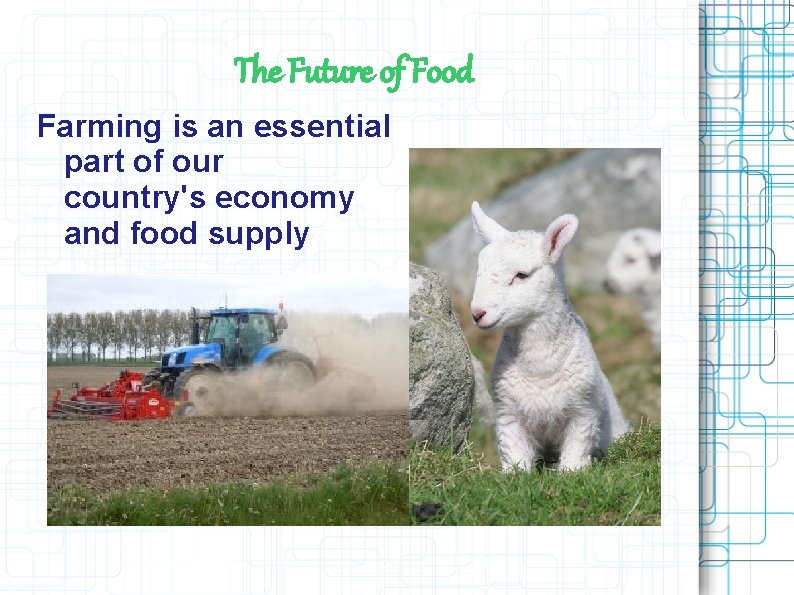 The Future of Food Farming is an essential part of our country's economy and The Future of Food Farming is an essential part of our country's economy and