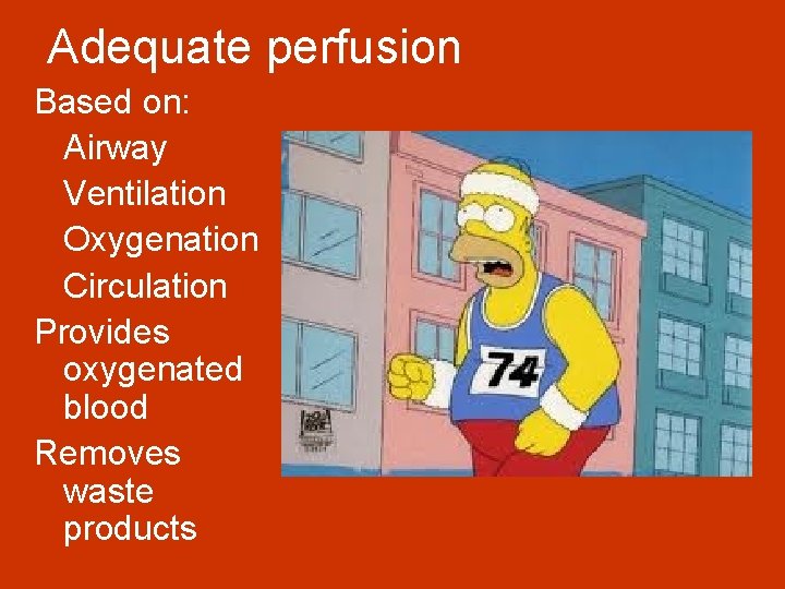 Adequate perfusion Based on: Airway Ventilation Oxygenation Circulation Provides oxygenated blood Removes waste products