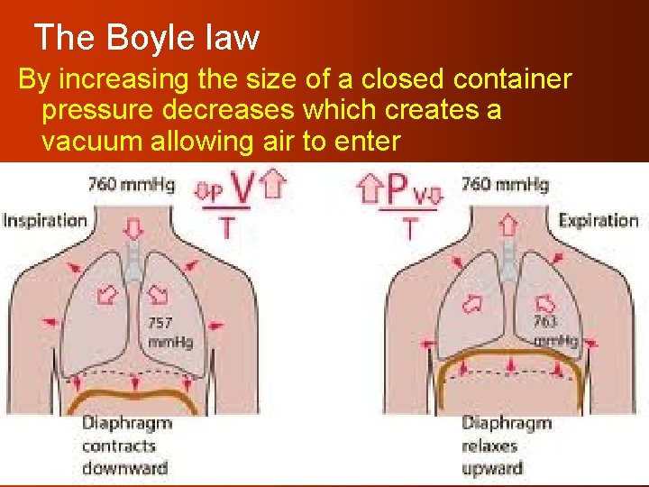 The Boyle law By increasing the size of a closed container pressure decreases which