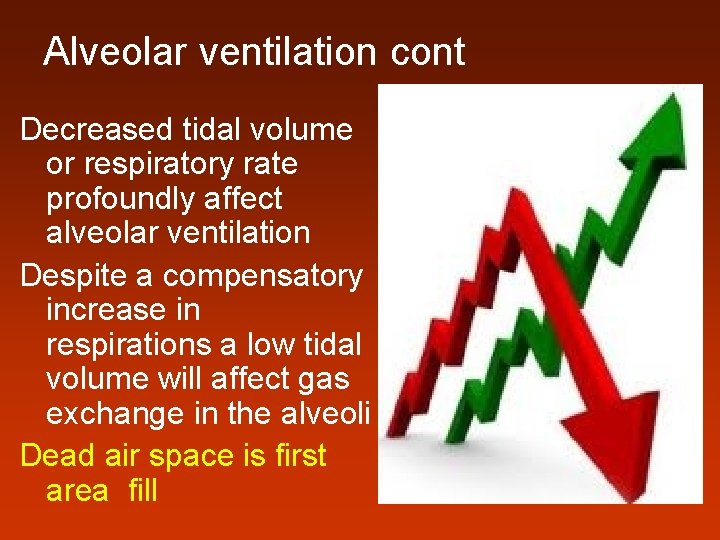 Alveolar ventilation cont Decreased tidal volume or respiratory rate profoundly affect alveolar ventilation Despite