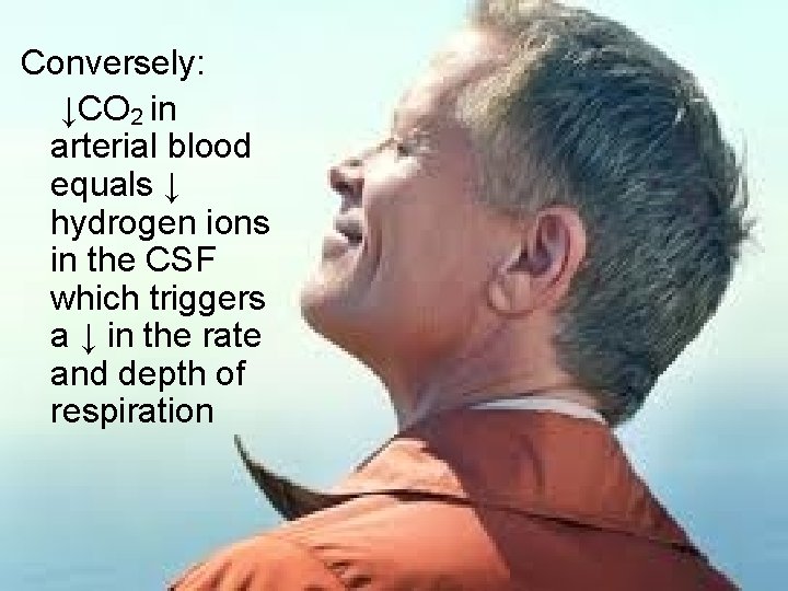 Conversely: ↓CO 2 in arterial blood equals ↓ hydrogen ions in the CSF which