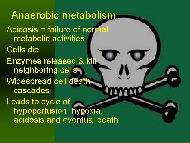 Anaerobic metabolism Acidosis = failure of normal metabolic activities Cells die Enzymes released &