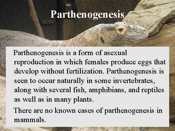 Parthenogenesis is a form of asexual reproduction in which females produce eggs that develop