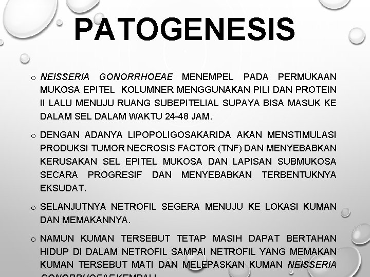 PATOGENESIS o NEISSERIA GONORRHOEAE MENEMPEL PADA PERMUKAAN MUKOSA EPITEL KOLUMNER MENGGUNAKAN PILI DAN PROTEIN