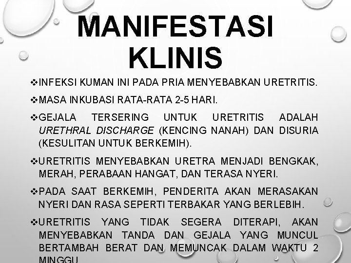 MANIFESTASI KLINIS v. INFEKSI KUMAN INI PADA PRIA MENYEBABKAN URETRITIS. v. MASA INKUBASI RATA-RATA