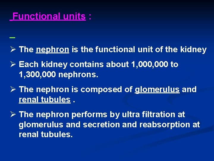 Functional units : Ø The nephron is the functional unit of the kidney Ø