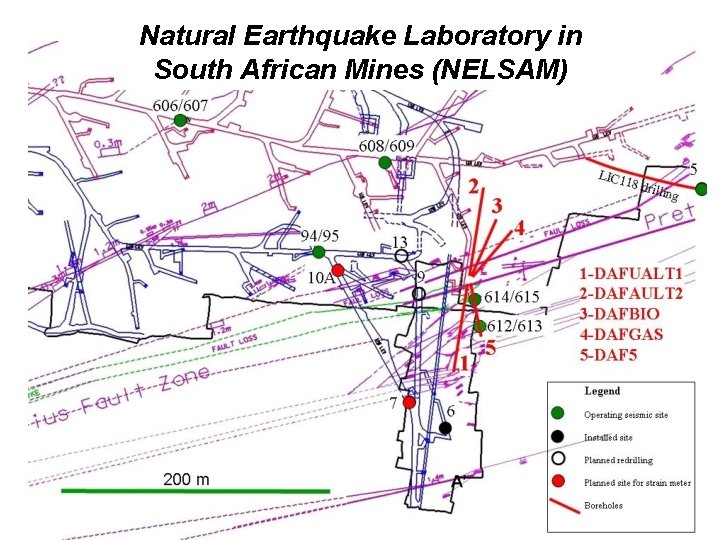 Natural Earthquake Laboratory in South African Mines (NELSAM) 