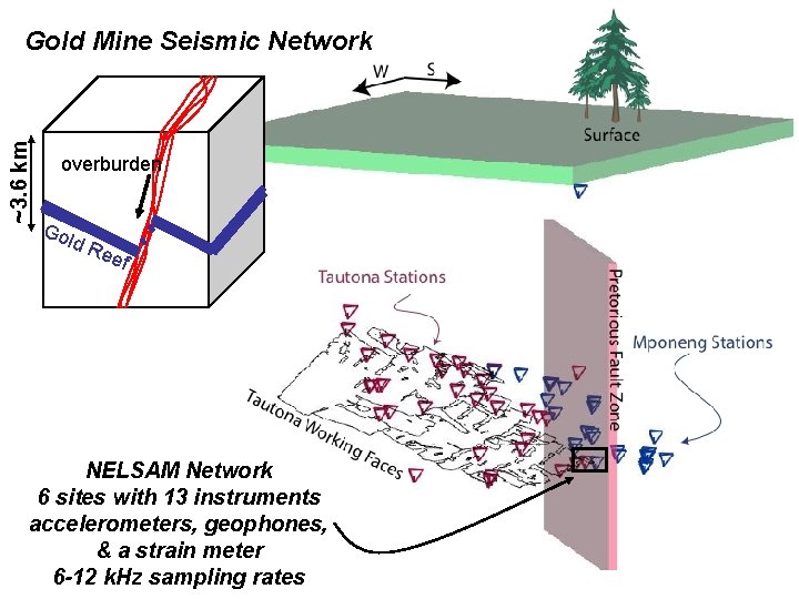 ~3. 6 km Gold Mine Seismic Network overburden Gol d. R eef NELSAM Network