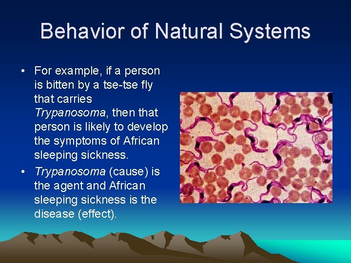 Behavior of Natural Systems • For example, if a person is bitten by a