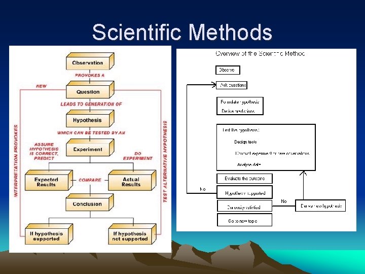 Scientific Methods 