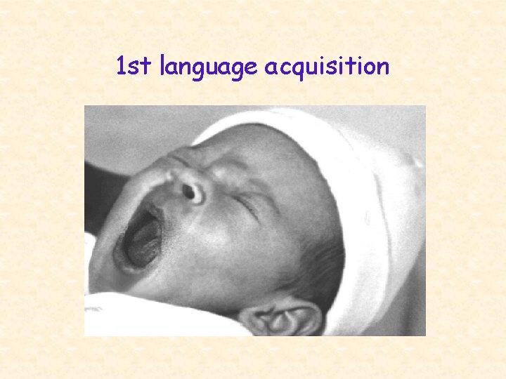 1 st language acquisition 