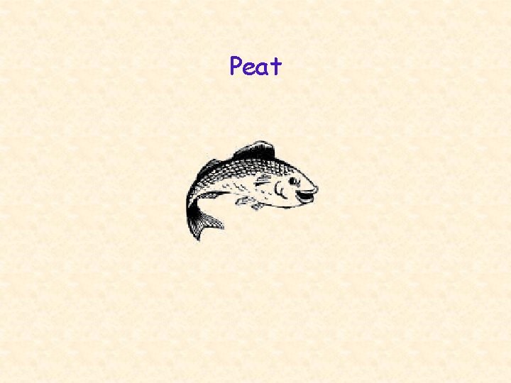 Peat 