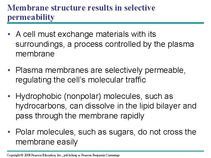 Membrane structure results in selective permeability • A cell must exchange materials with its