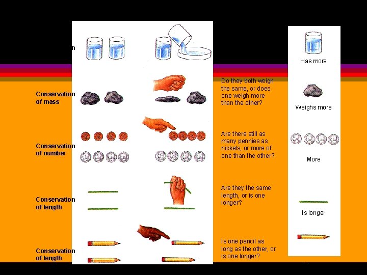 Original Setup Conservation of liquid Alter as Shown Ask Child Which has more liquid?